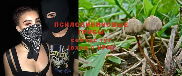 Альфа ПВП Дмитров